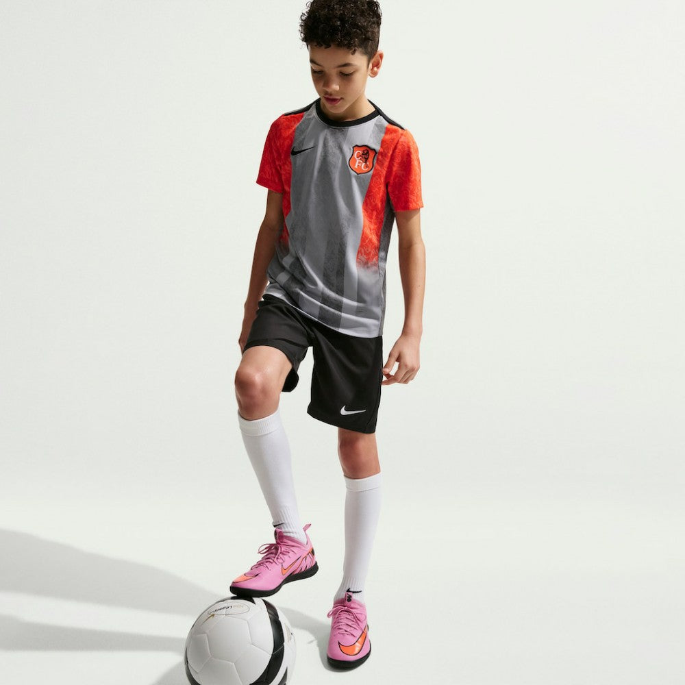 Chelsea Youth 2025/26 Academy Pro Pre-Match Top Gray - Nike cheap