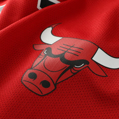 Dennis Rodman Chicago Bulls Big & Tall NBA Hockey Jersey Red - Mitchell & Ness