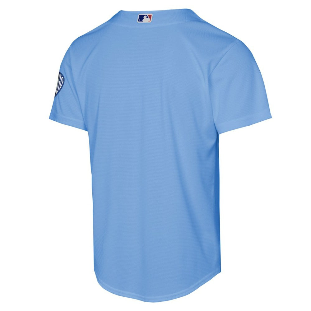 Chicago Cubs Nike Youth Alternate 2 Stadium Jersey - Light Blue Jerseys