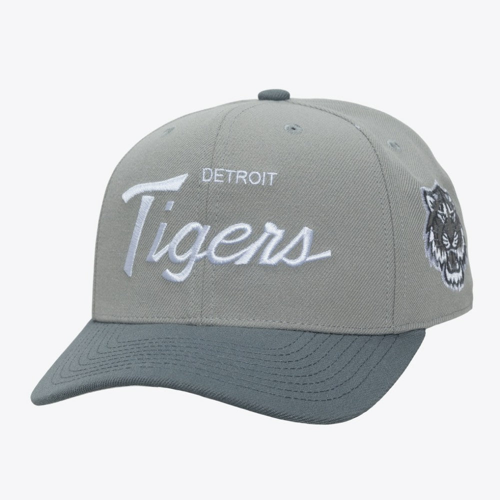 Detroit Tigers Mitchell & Ness Thunderstorm Head Coach Pro-Crown Adjustable Hat - Gray Hats