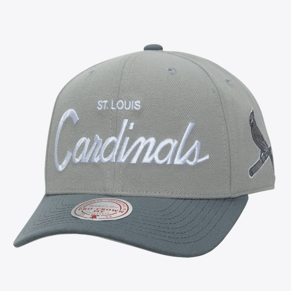 St. Louis Cardinals Mitchell & Ness Thunderstorm Head Coach Pro-Crown Adjustable Hat - Gray Hats