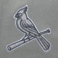 St. Louis Cardinals Mitchell & Ness Thunderstorm Head Coach Pro-Crown Adjustable Hat - Gray Hats