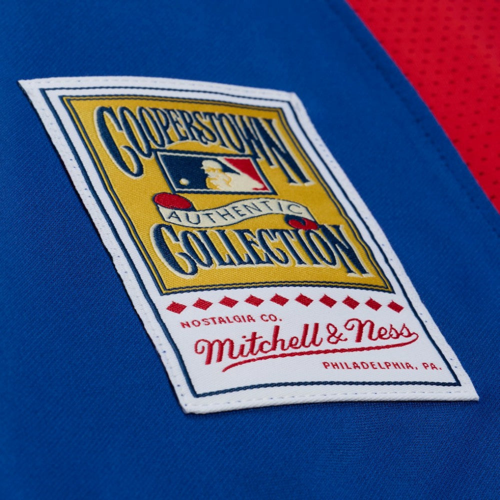 Adrian Beltre Texas Rangers Mitchell & Ness Cooperstown Mesh Batting Practice Button-Up Jersey - Royal Jerseys