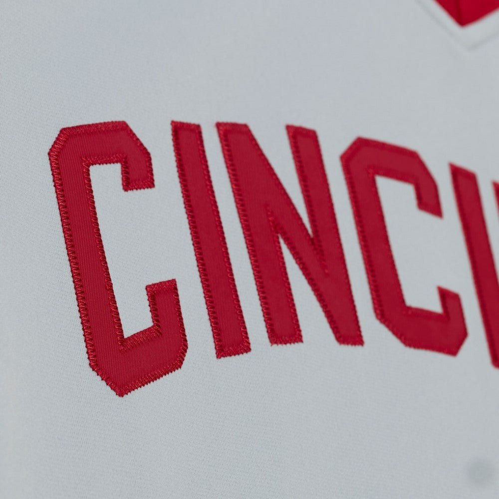 Pete Rose Cincinnati Reds Mitchell & Ness 1976 Authentic Jersey - Gray Jerseys
