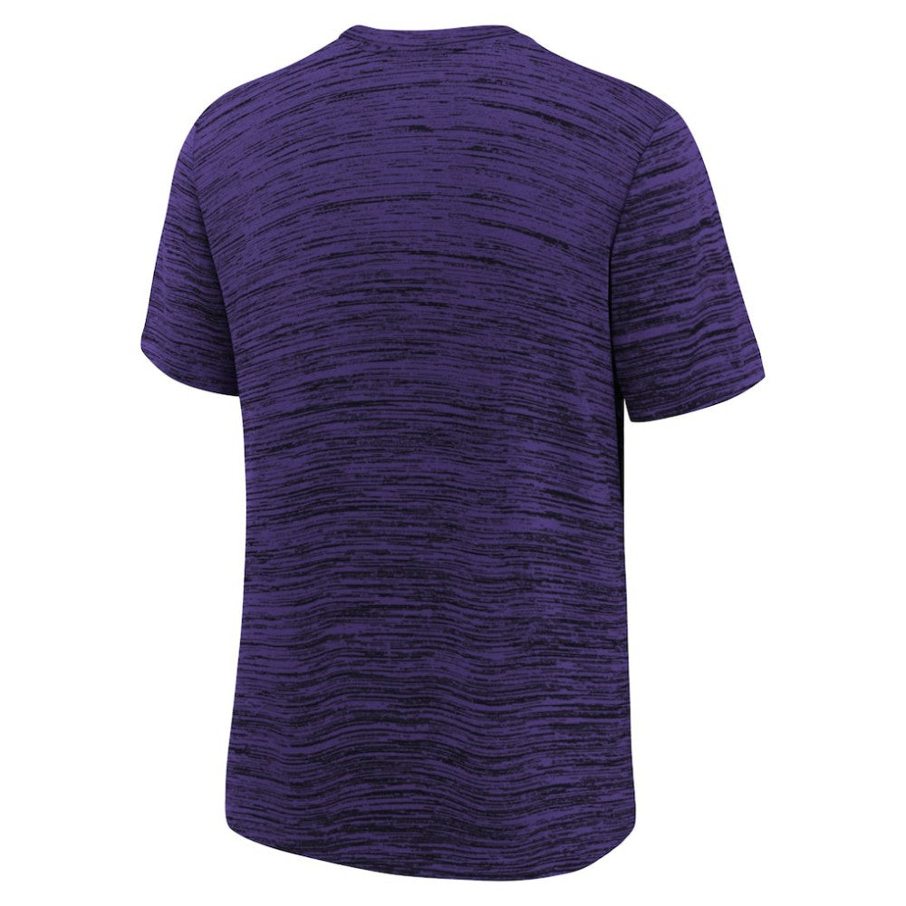 Arizona Diamondbacks Nike Youth Authentic Collection Velocity Dri-FIT T-Shirt - Purple T-shirts