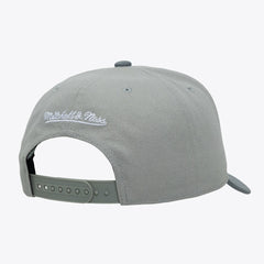 San Antonio Spurs Thunderstorm Head Coach Pro Crown Snapback Hat Gray - Mitchell & Ness