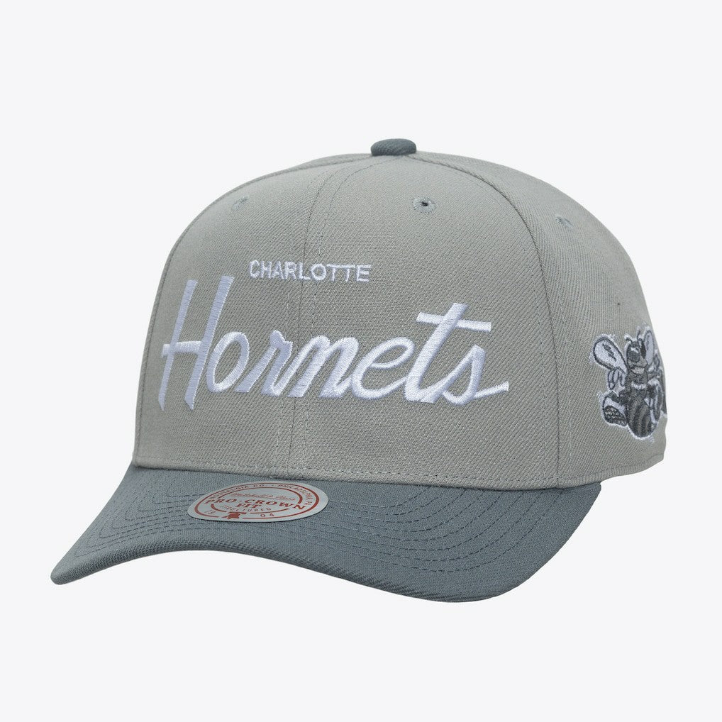 Charlotte Hornets Thunderstorm Head Coach Pro Crown Snapback Hat Gray - Mitchell & Ness