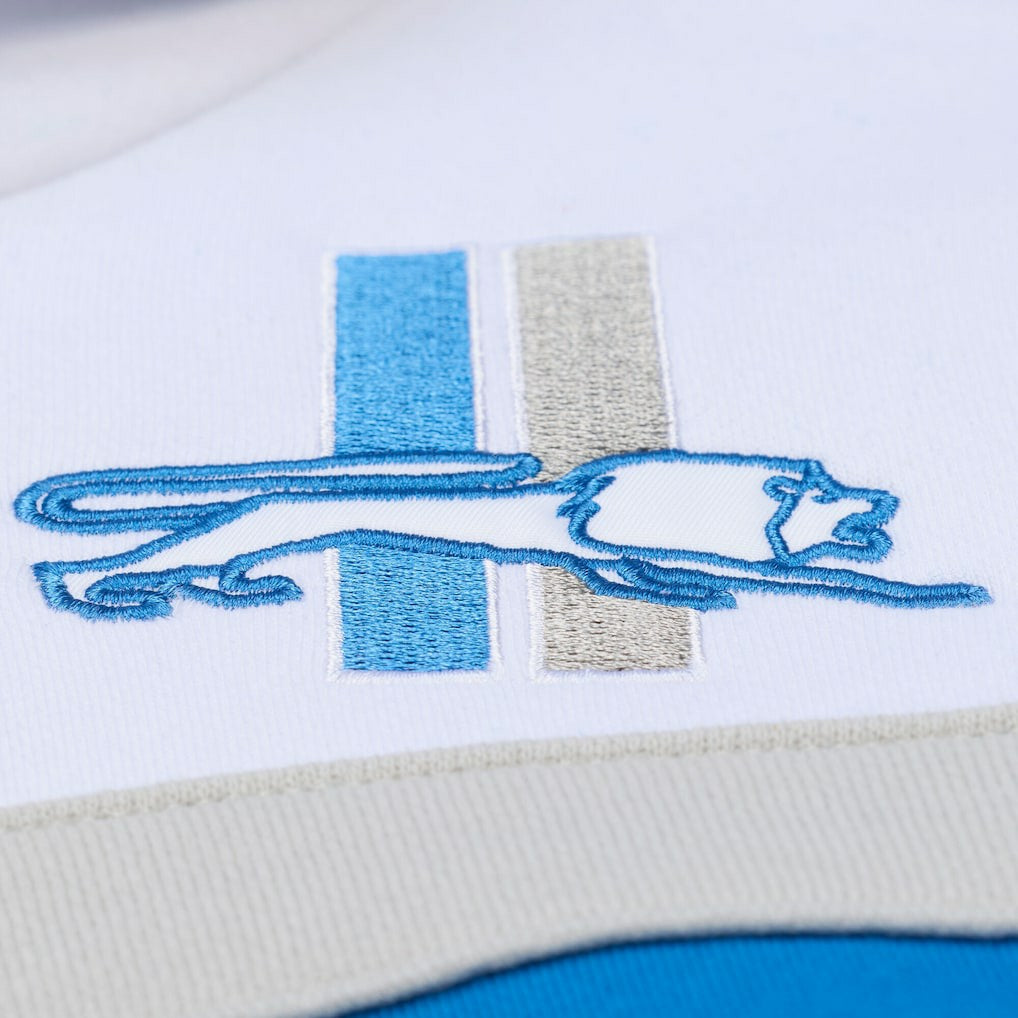 Detroit Lions Head Coach Hoodie - Blue Hoodies