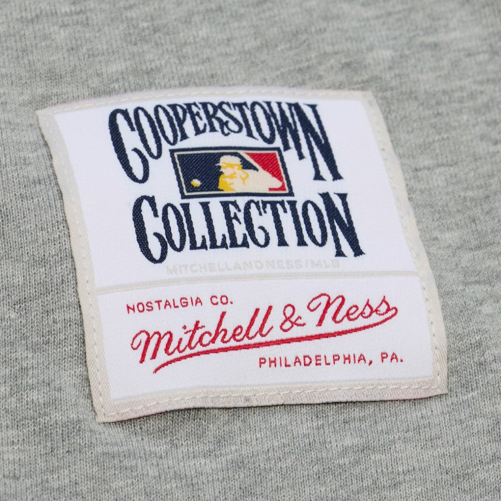 Ken Griffey Jr. Seattle Mariners Mitchell & Ness Player Collection Premium T-Shirt - Gray T-shirts