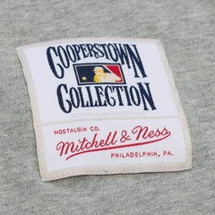 Ken Griffey Jr. Seattle Mariners Mitchell & Ness Player Collection Premium T-Shirt - Gray T-shirts