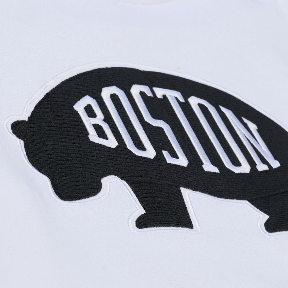 Boston Bruins Mitchell & Ness Arctic Fleece Hoodie - White | US 203265805