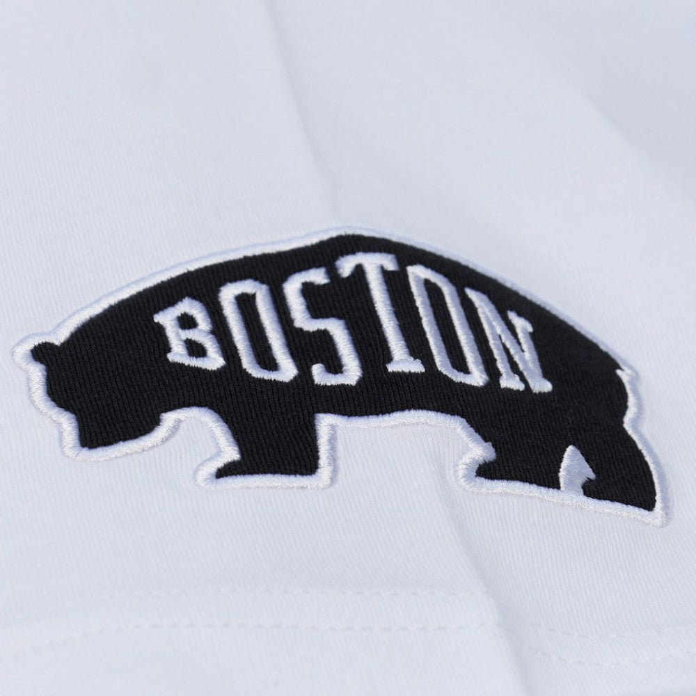 Boston Bruins Mitchell & Ness Arctic T-Shirt- White | US 203265825