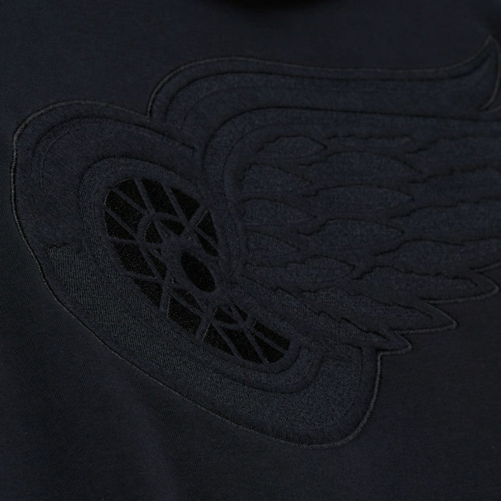 Detroit Red Wings Mitchell & Ness Phantom Fleece Hoodie - Black | US 203279110