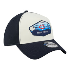 Minnesota Twins New Era 2026 Spring Training Fan Pack Gradient 39THIRTY Flex Hat - Stone Hats