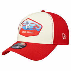 St. Louis Cardinals New Era 2026 Spring Training Fan Pack Gradient 39THIRTY Flex Hat - Stone Hats
