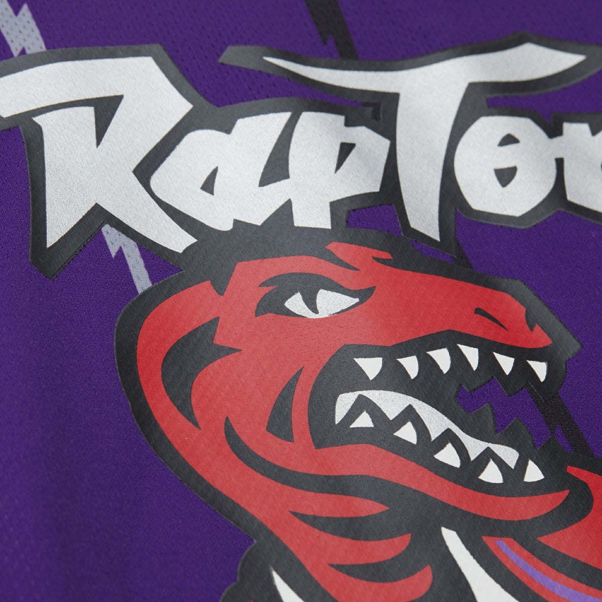 Vince Carter Toronto Raptors Unisex Maxxed Out Fashion Hockey Jersey Purple - Mitchell & Ness