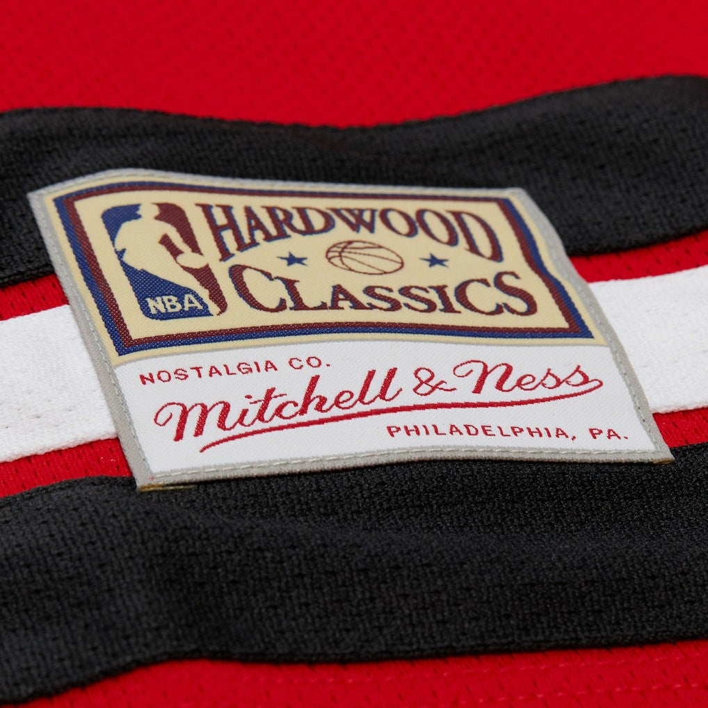 Dennis Rodman Chicago Bulls Unisex Maxxed Out Fashion Hockey Jersey Red - Mitchell & Ness outlet