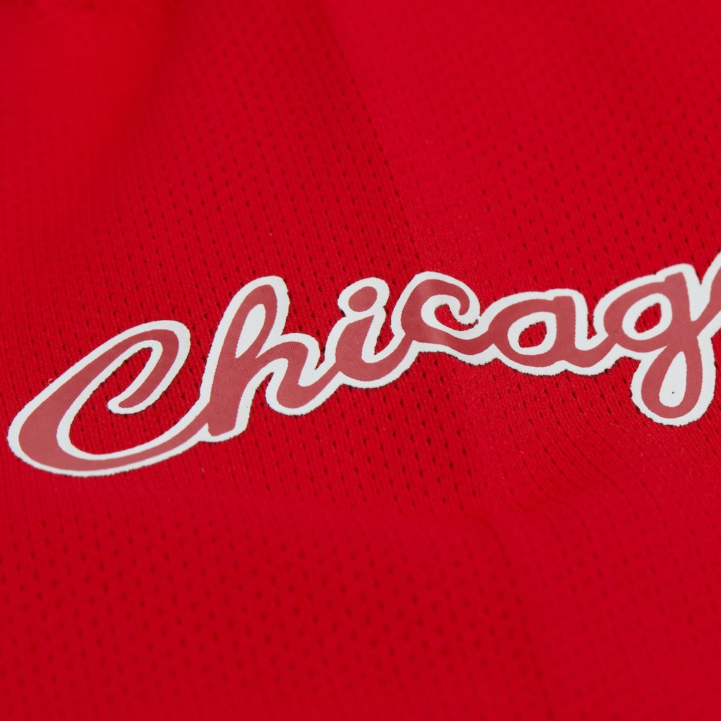 Dennis Rodman Chicago Bulls Unisex Maxxed Out Fashion Hockey Jersey Red - Mitchell & Ness outlet