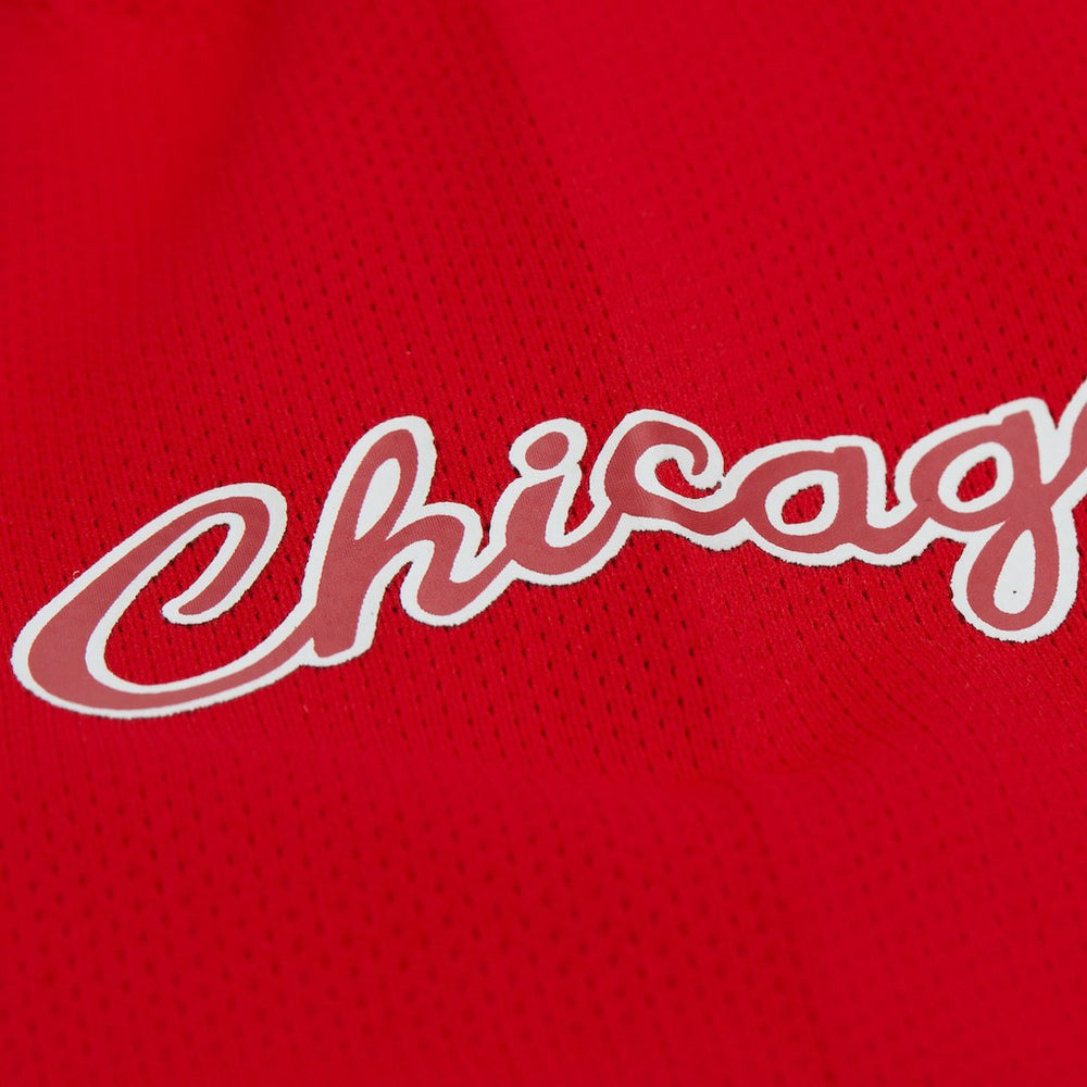 Dennis Rodman Chicago Bulls Unisex Maxxed Out Fashion Hockey Jersey Red - Mitchell & Ness outlet