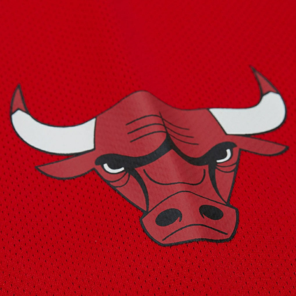 Dennis Rodman Chicago Bulls Unisex Maxxed Out Fashion Hockey Jersey Red - Mitchell & Ness outlet