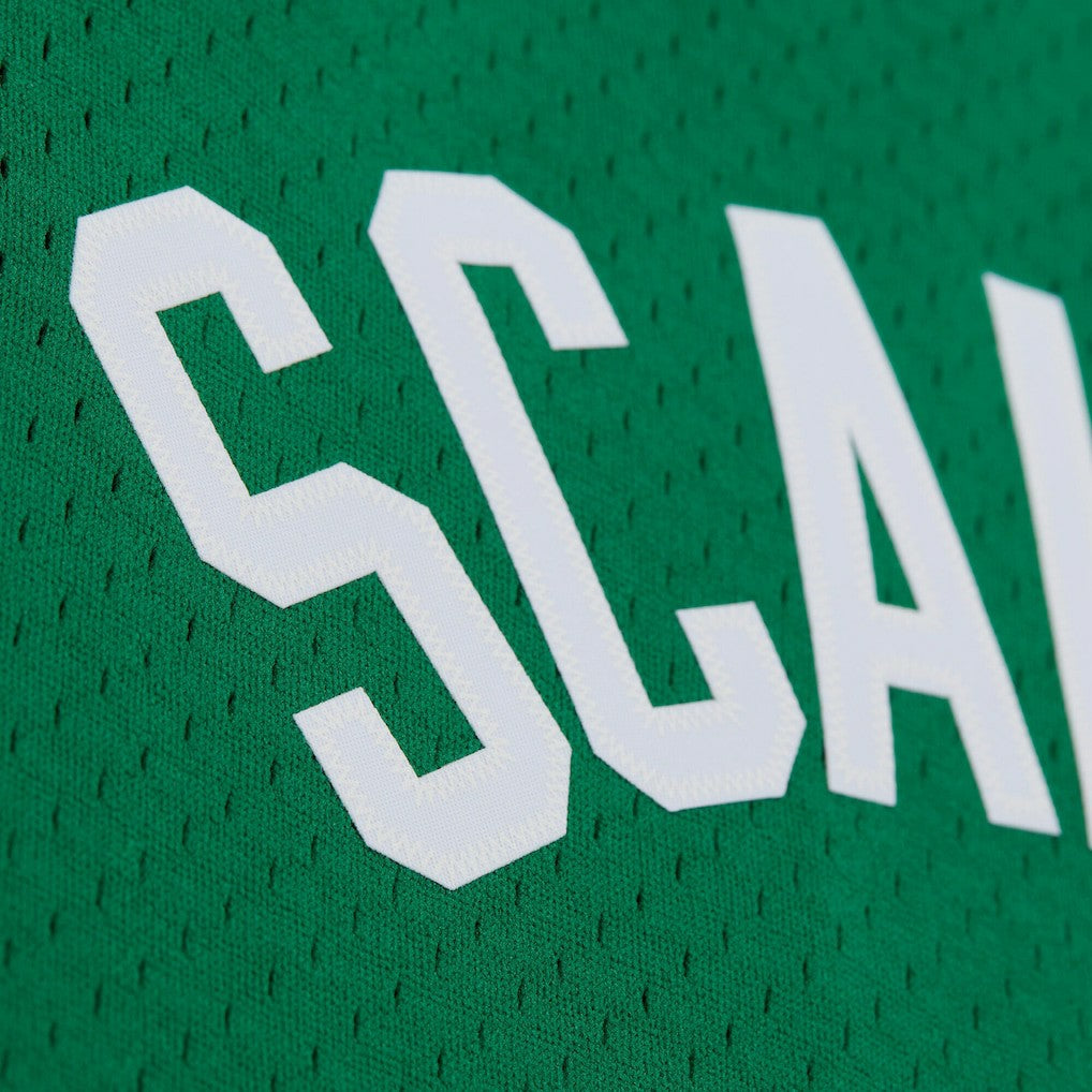 Brian Scalabrine Boston Celtics 2007/08 Hardwood Classics Swingman Jersey Kelly Green - Mitchell & Ness