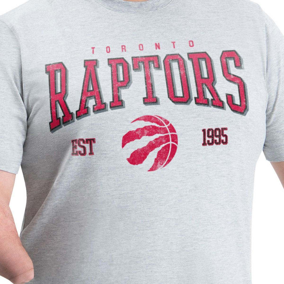 Toronto Raptors G-III Sports by Carl Banks Adaptive Classic Team Spirit Short Sleeve T-Shirt Gray