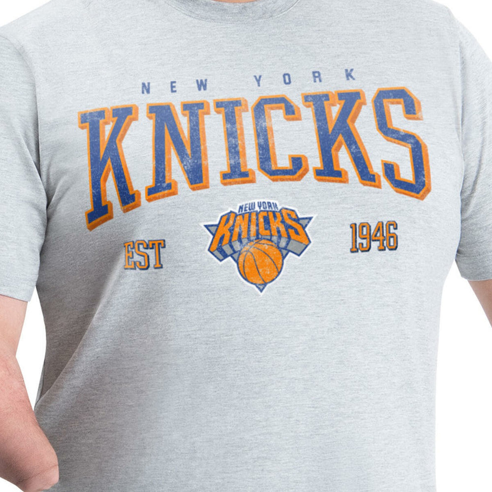New York Knicks G-III Sports by Carl Banks Adaptive Classic Team Spirit Short Sleeve T-Shirt Gray outlet