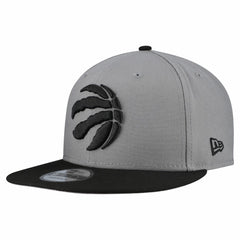 Toronto Raptors Core Logo Storm Gray Two-Tone 9FIFTY Snapback Hat Gray - New Era