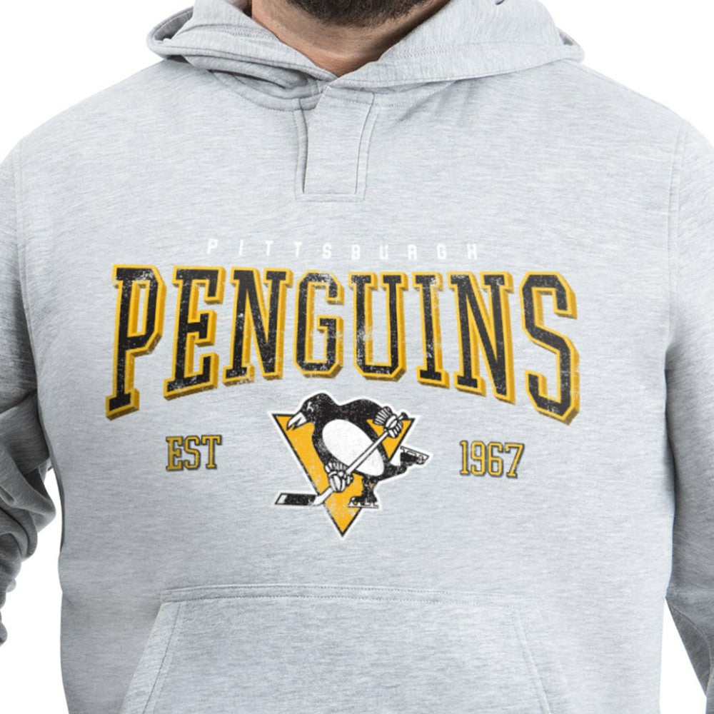 Pittsburgh Penguins G-III Sports by Carl Banks Adaptive Classic Team Spirit Fleece Hoodie - Gray | US 203456454