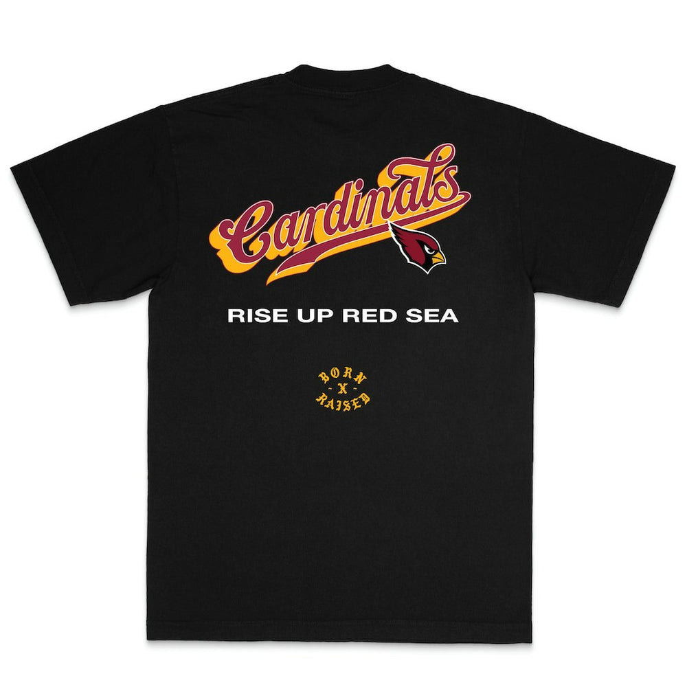 Arizona Cardinals Born x Raised Unisex Pro Script T-Shirt - Black T-shirts