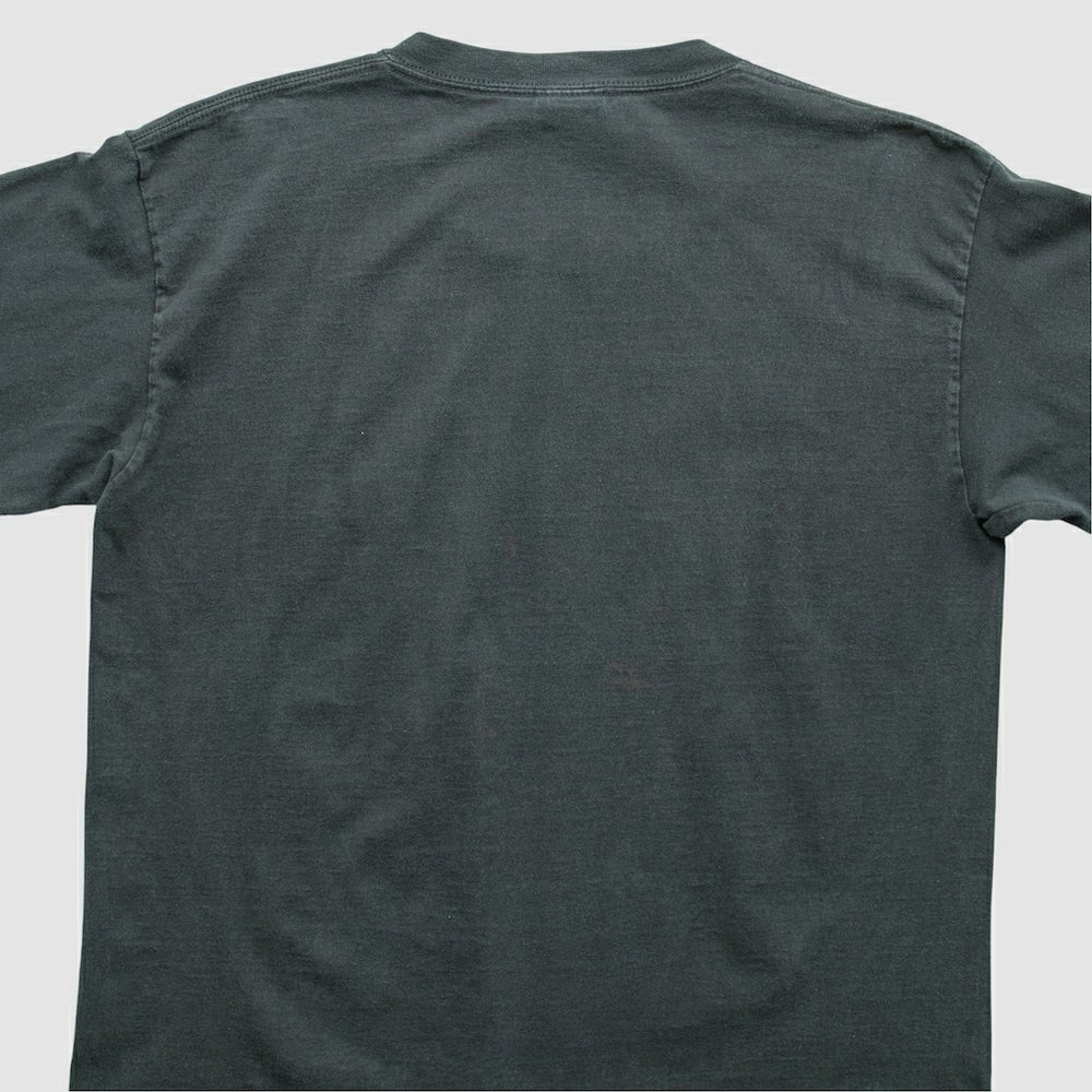 Minnesota Vikings NFL 2000s T-Shirt - Black T-shirts
