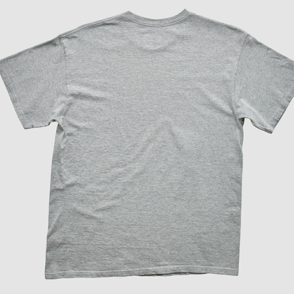 Indianapolis Colts 2010s T-Shirt - Gray T-shirts