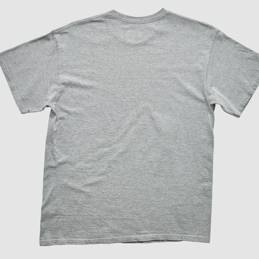 Indianapolis Colts 2010s T-Shirt - Gray T-shirts