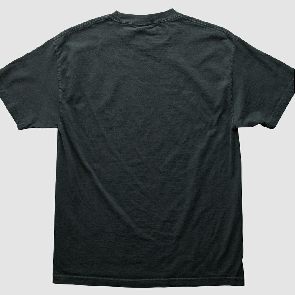 Pittsburgh Steelers NFL 2000s T-Shirt - Black T-shirts