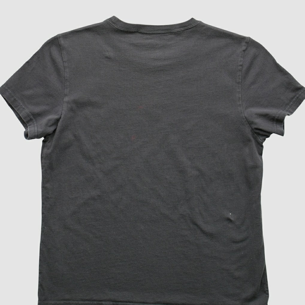 Pittsburgh Steelers Reebok 2009 T-Shirt - Gray T-shirts