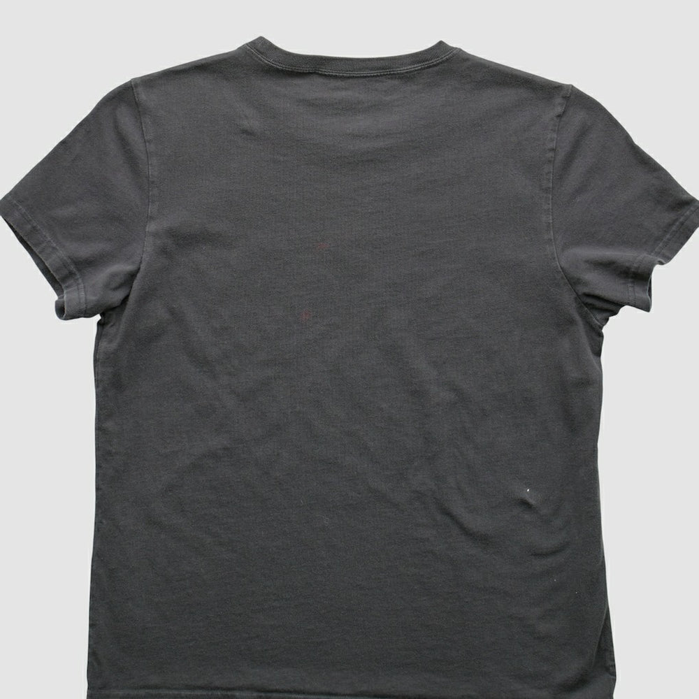 Pittsburgh Steelers Reebok 2009 T-Shirt - Gray T-shirts