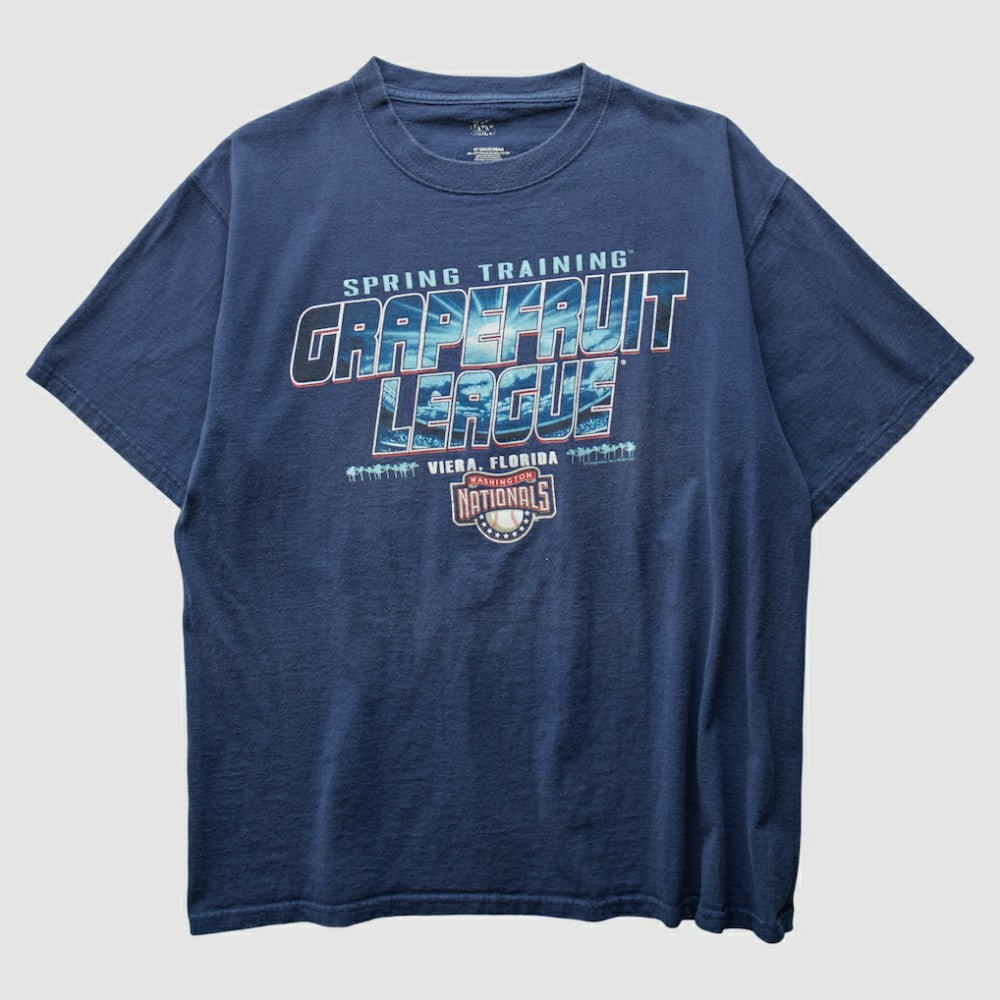 Washington Nationals 2000s T-Shirt - Navy - Vintage T-shirts
