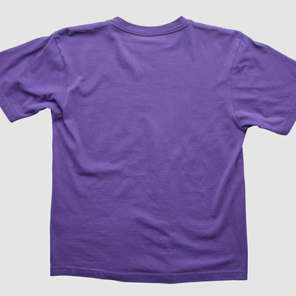 Minnesota Vikings 2000s T-Shirt - Purple T-shirts