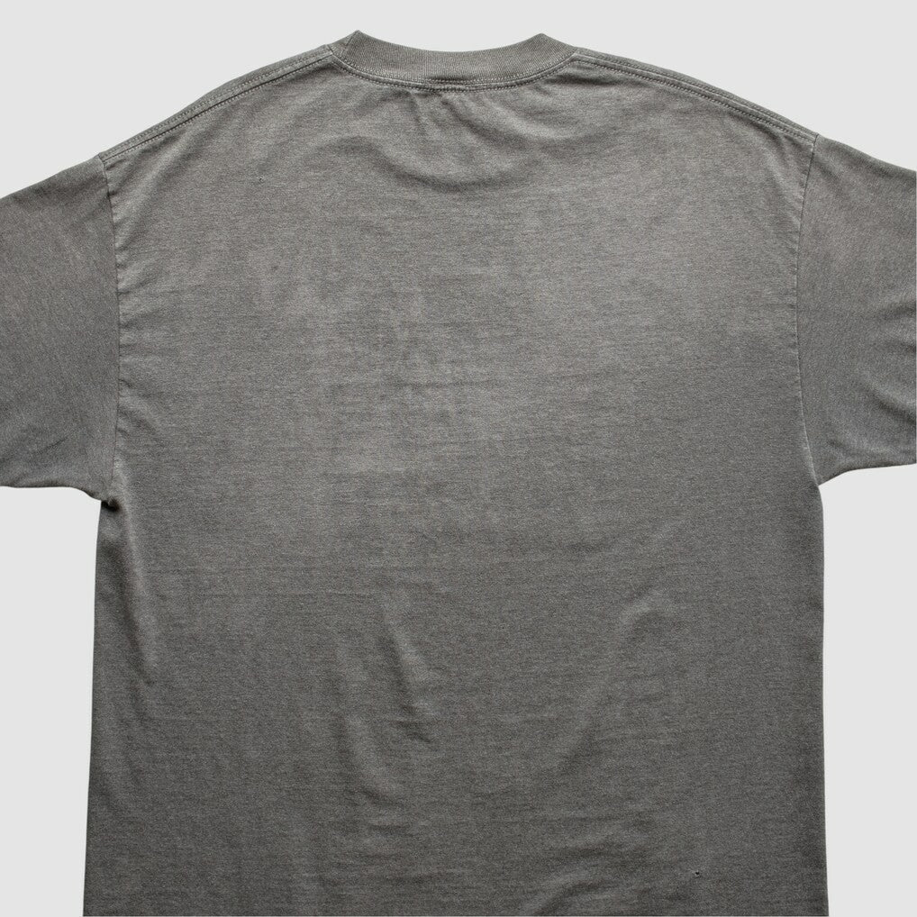 Indianapolis Colts NFL 2010s T-Shirt - Gray T-shirts
