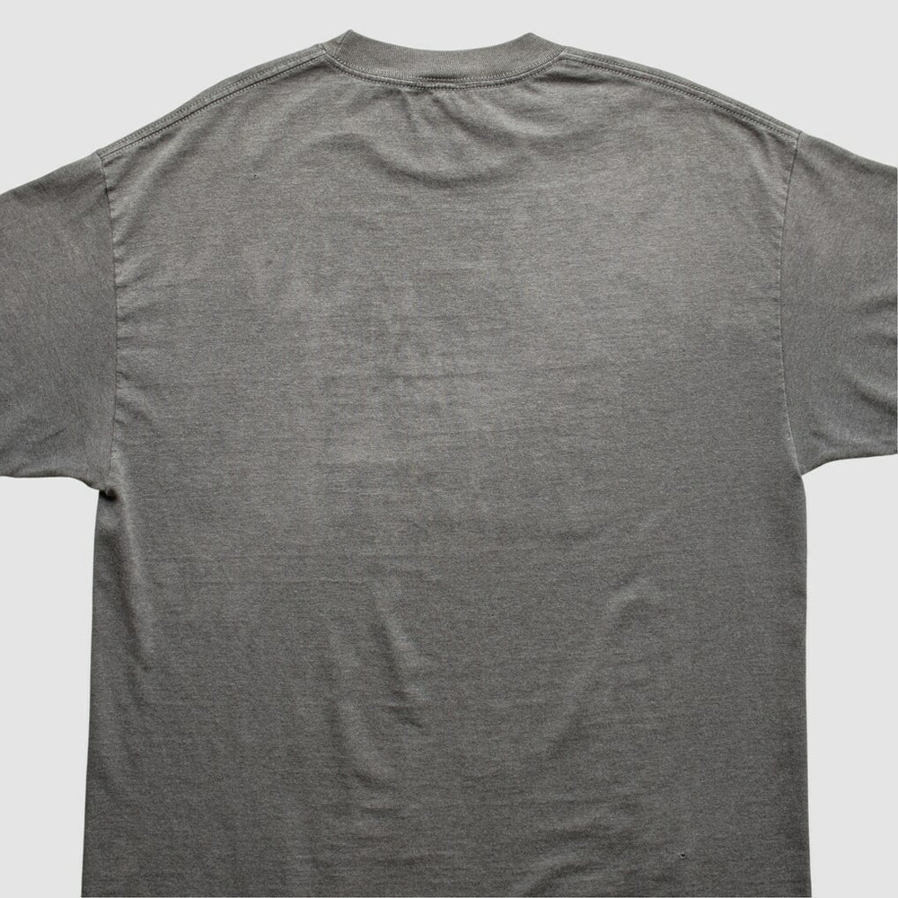 Indianapolis Colts NFL 2010s T-Shirt - Gray T-shirts