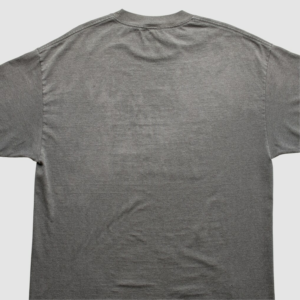 Indianapolis Colts NFL 2010s T-Shirt - Gray T-shirts