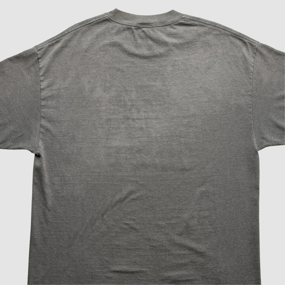 Indianapolis Colts NFL 2010s T-Shirt - Gray T-shirts