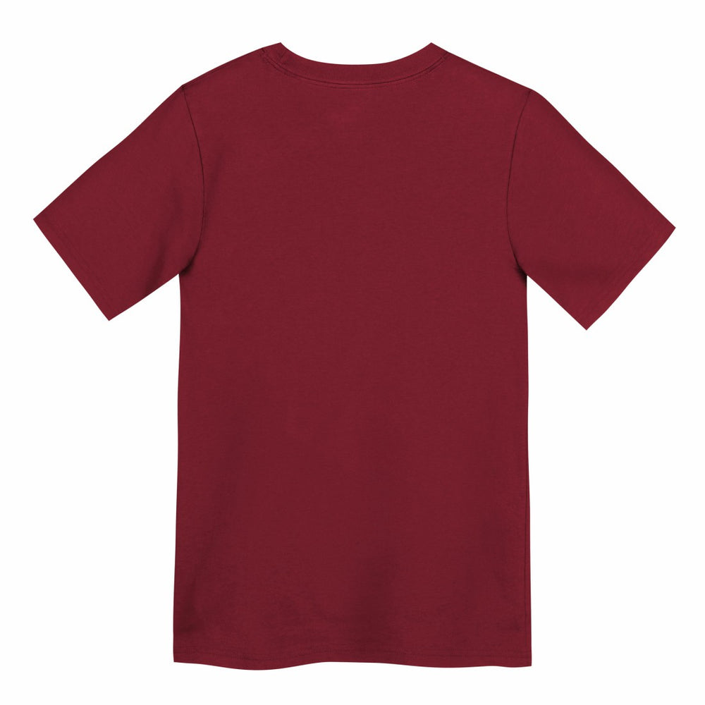 Tampa Bay Buccaneers Preschool Icon Legend Dri-FIT T-Shirt - Red T-shirts