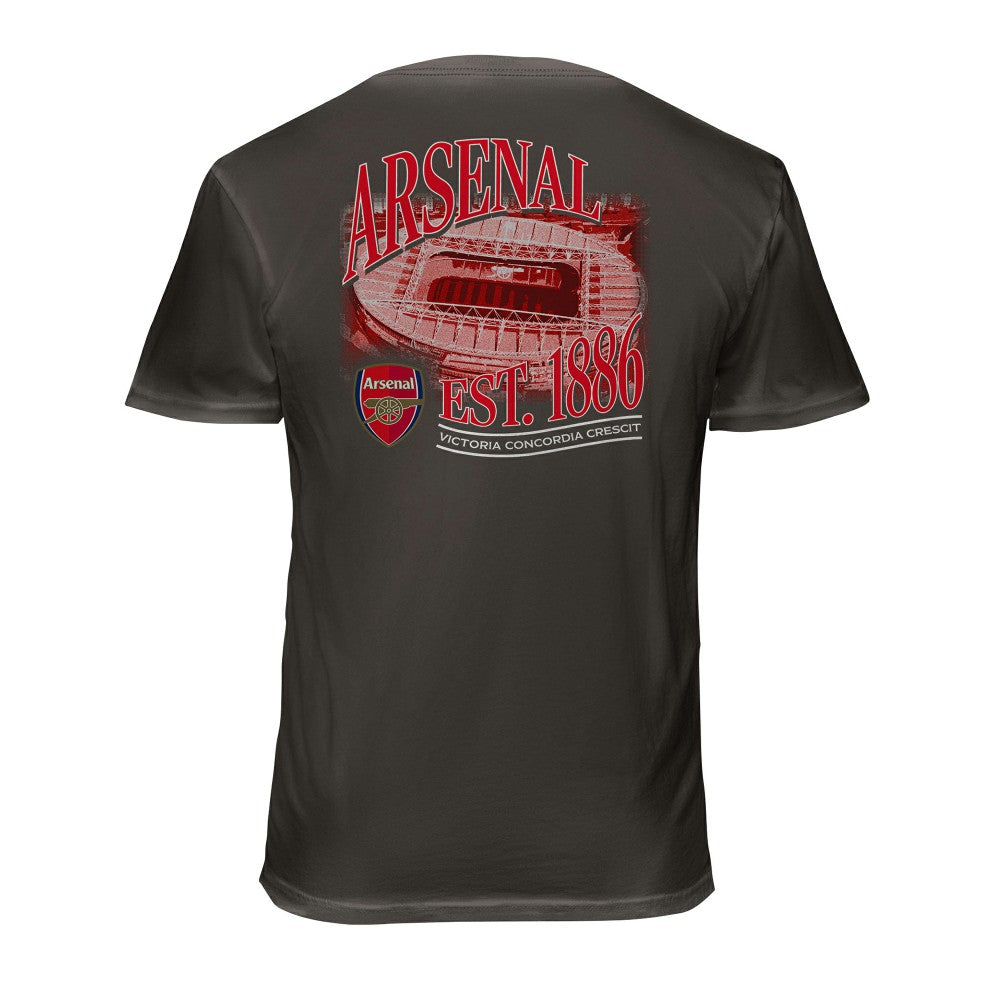 Arsenal 1863FC Wordmark Cotton T-Shirt Gray