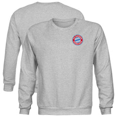 Bayern Munich 1863FC Youth Color Badge Sweatshirt Gray