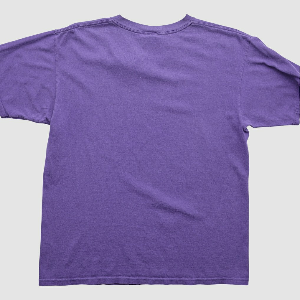 Minnesota Vikings NFL 2000s T-Shirt - Purple T-shirts