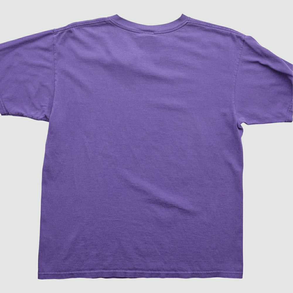 Minnesota Vikings NFL 2000s T-Shirt - Purple T-shirts