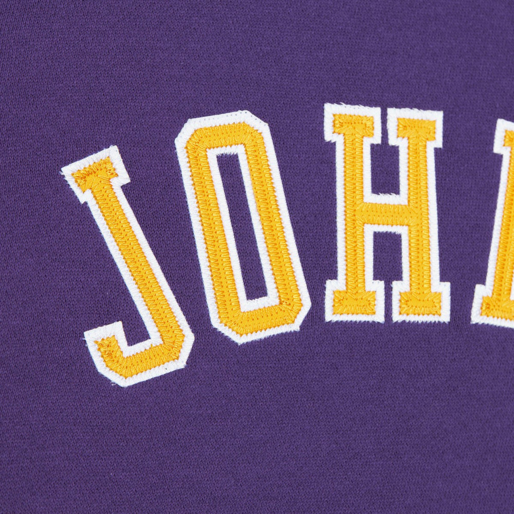 Magic Johnson Los Angeles Lakers Name & Number Hoodie Purple - Mitchell & Ness