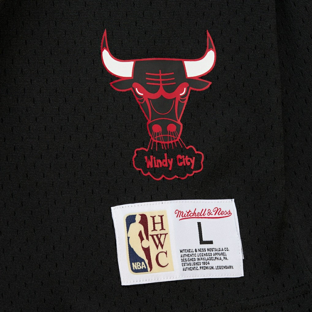 Dennis Rodman Chicago Bulls Mesh Name & Number Short Sleeve Hoodie Black - Mitchell & Ness