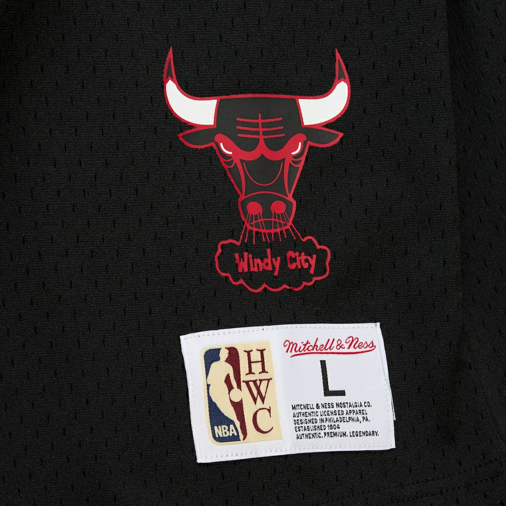 Dennis Rodman Chicago Bulls Mesh Name & Number Short Sleeve Hoodie Black - Mitchell & Ness